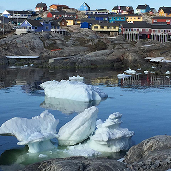 Den arktiske ambivalens