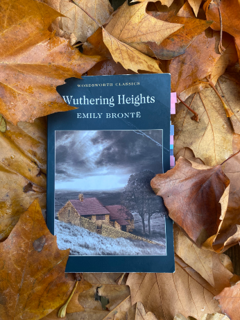 Wuthering Heights Emily Brönte