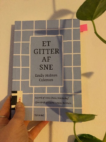 et gitter af sne-kopi
