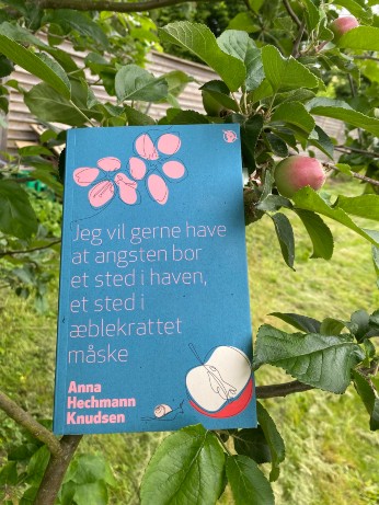 Anna Hechmann Knudsen Jeg vil gerne have