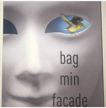 Bagminfacade.pixlr