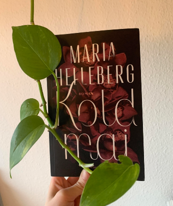 En tosomhed i største potens 