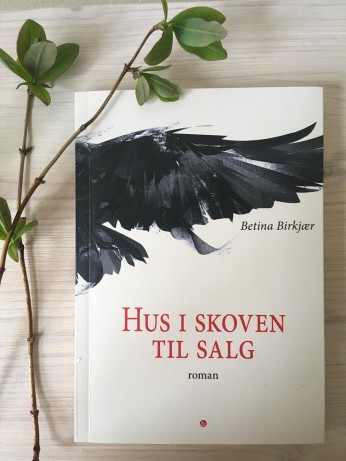 Hvor fjerene daler fra himlen