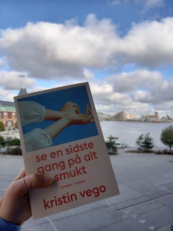 Kristin Vego Se en sidste gang på alt smukt