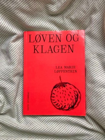 En lille Løve, en knust mor