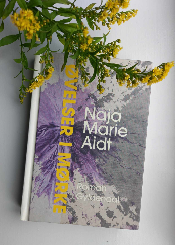 Naja Marie Aidt- Øvelser i mørke