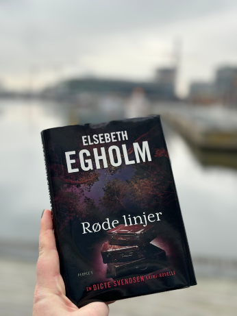 Mord i aarhusianske omgivelser