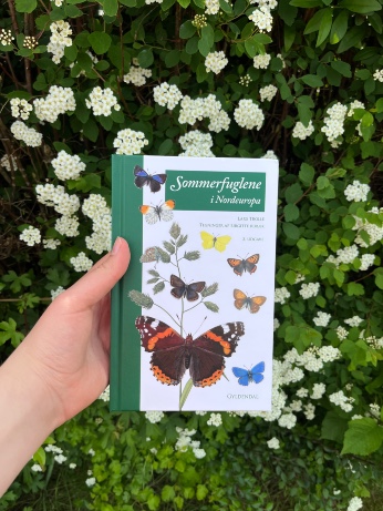 Sommerfuglene i Nordeuropa-2