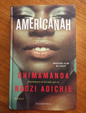 Den amerikanske afrikaner