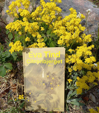 Eva Tind Citronbjerget