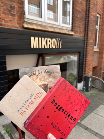 mikrolit1